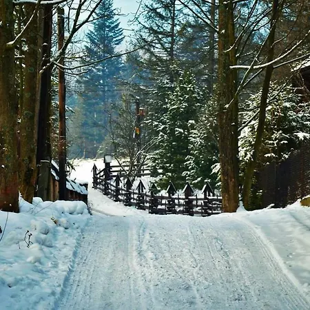 Chatka Dolina Muminkow Zakopane